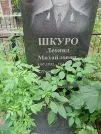 Захоронение ID 1258967