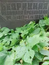 Захоронение ID 1258981