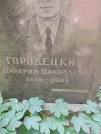 Захоронение ID 1258983