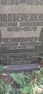Захоронение ID 1259064