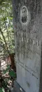 Захоронение ID 1259493