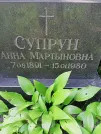 Захоронение ID 1259519