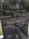 Захоронение ID 1259619
