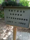 Захоронение ID 1259885