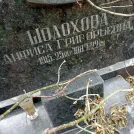 Захоронение ID 1260015