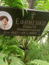 Захоронение ID 1260047