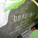 Захоронение ID 1260069