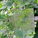 Захоронение ID 1260171