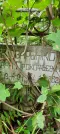 Захоронение ID 1260868