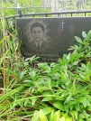 Захоронение ID 1260931
