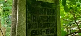 Захоронение ID 1260991