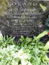 Захоронение ID 1261100