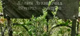 Захоронение ID 1261355