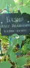 Захоронение ID 1261481