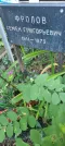 Захоронение ID 1261824