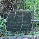 Захоронение ID 1261882