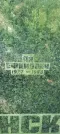Захоронение ID 1261971
