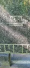 Захоронение ID 1261974