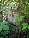 Захоронение ID 1262197