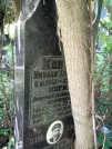 Захоронение ID 1262219