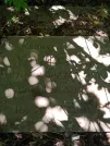 Захоронение ID 1262337