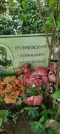 Захоронение ID 1262446