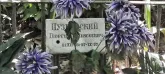 Захоронение ID 1262458
