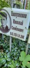 Захоронение ID 1262541