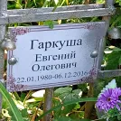 Захоронение ID 1262631
