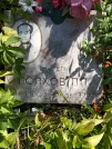 Захоронение ID 1262703