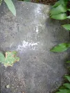 Захоронение ID 1262807