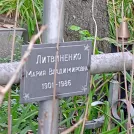 Захоронение ID 1262932