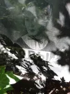 Захоронение ID 1262969