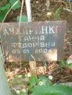 Захоронение ID 1262987