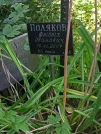 Захоронение ID 1263233