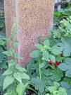 Захоронение ID 1263240