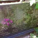 Захоронение ID 1263273