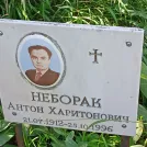 Захоронение ID 1263292