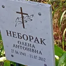 Захоронение ID 1263302