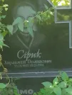 Захоронение ID 1263450