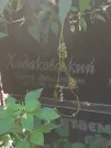 Захоронение ID 1263451