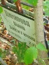 Захоронение ID 1263466