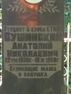 Захоронение ID 1263482