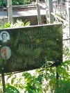 Захоронение ID 1263520