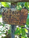 Захоронение ID 1263684