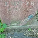 Захоронение ID 1263704