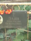 Захоронение ID 1263803