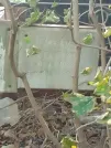 Захоронение ID 1263849