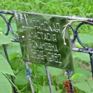 Захоронение ID 1263871