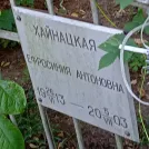 Захоронение ID 1263915